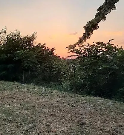 Rifugio Dell'artista