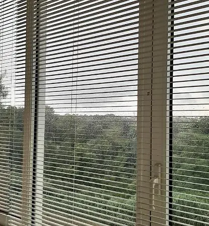 Rifugio Dell'artista *