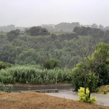 Rifugio Dell'artista *