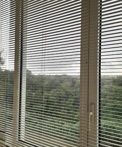 Rifugio Dell'artista *